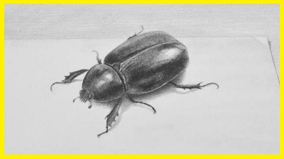 Dibujo de un escarabajo en 3d a carboncillo
